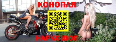 индика Будённовск