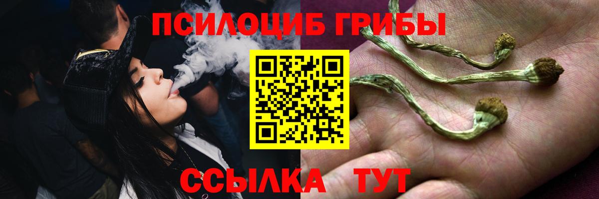 Минеральные Воды  Псилоцибиновые грибы Magic Shrooms  Вход с VPN 